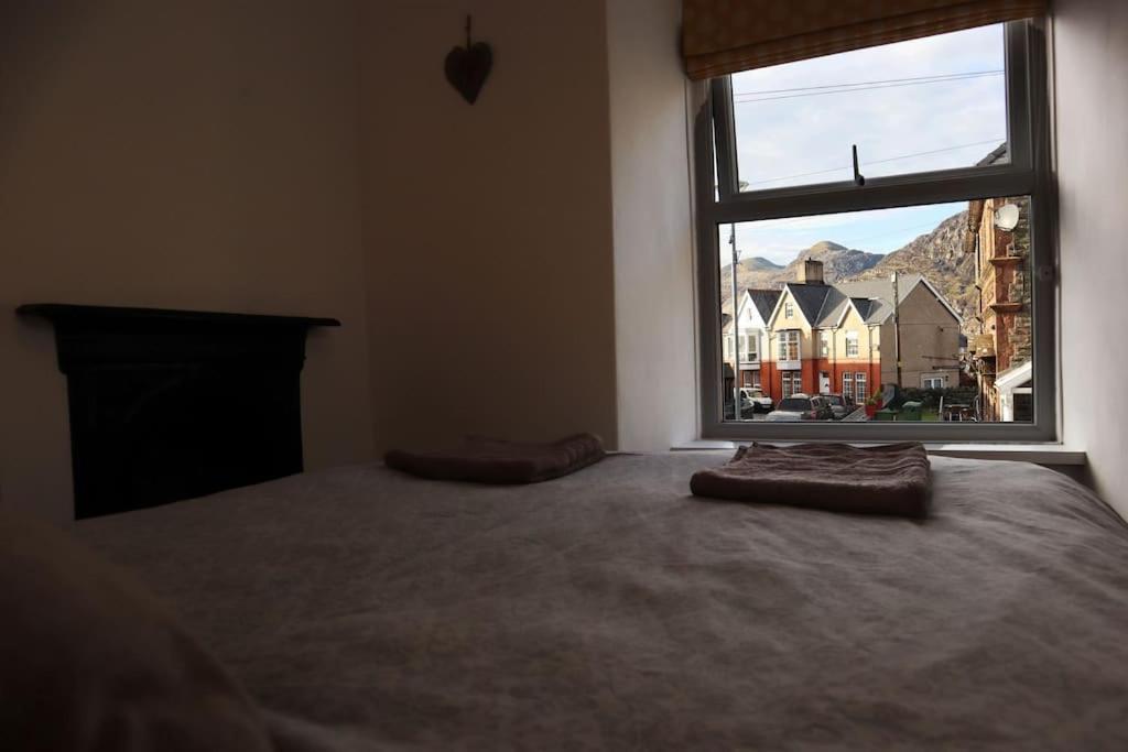 Dol Bach - Your Homely Welsh Cottage In The Heart Of Snowdonia Blaenau Ffestiniog Eksteriør billede