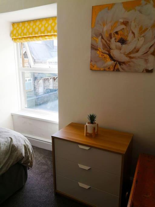 Dol Bach - Your Homely Welsh Cottage In The Heart Of Snowdonia Blaenau Ffestiniog Eksteriør billede