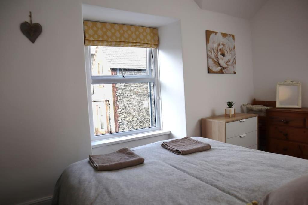 Dol Bach - Your Homely Welsh Cottage In The Heart Of Snowdonia Blaenau Ffestiniog Eksteriør billede