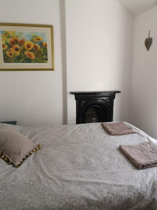 Dol Bach - Your Homely Welsh Cottage In The Heart Of Snowdonia Blaenau Ffestiniog Eksteriør billede
