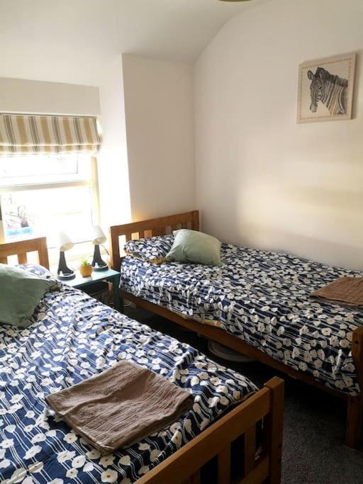Dol Bach - Your Homely Welsh Cottage In The Heart Of Snowdonia Blaenau Ffestiniog Eksteriør billede
