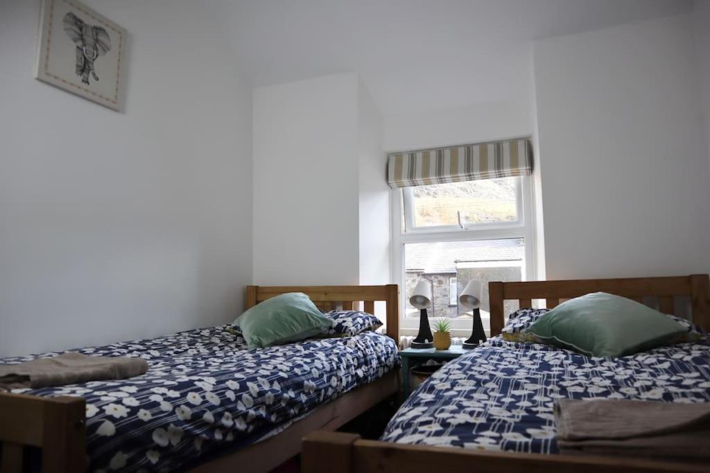 Dol Bach - Your Homely Welsh Cottage In The Heart Of Snowdonia Blaenau Ffestiniog Eksteriør billede